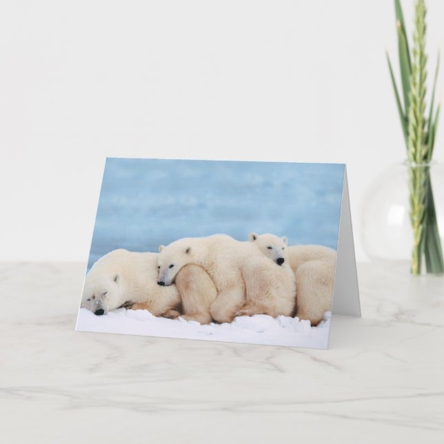 Cartão Polar Bears Greeting Card (Frente)