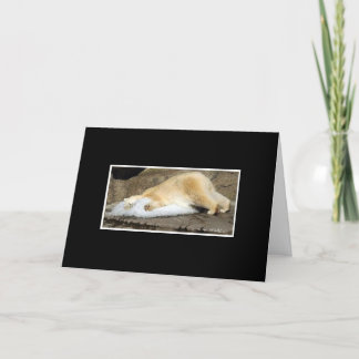 Cartão polar bears miss you