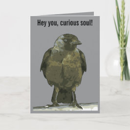 Cartão Poleiro Curioso Corvo-de-capuz-preto