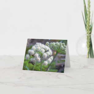 Cartão Polinizadores em Flores de Angelica Branca