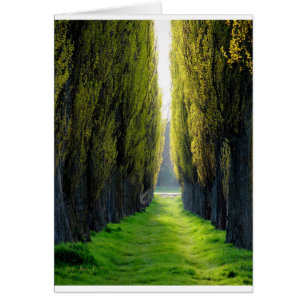 Cartão POLÔNIA ALEJAWroclaw