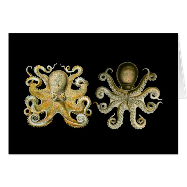 Cartão Polvo comum (Frente Horizontal)