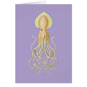 Cartão Polvo do recife