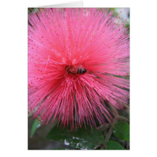 Cartão Pólvora rosa e abelha-lombar