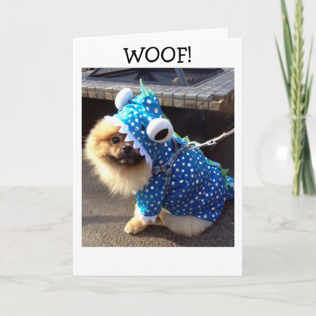 CARTÃO POM ESTÁ VESTIDO SÓ PARA DIZER FELIZ ANIVERSÁRIO P (Frente)