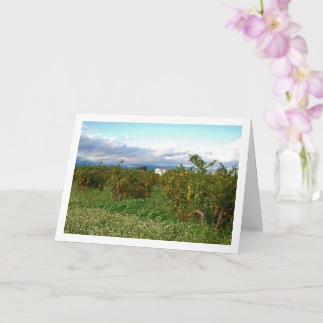 Cartão Pomar de Laranjeiras, Valência, Espanha (Orquídea)