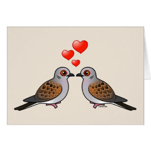 Cartão Pombas da tartaruga no amor