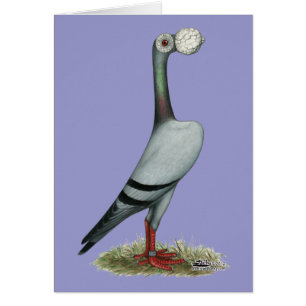 Cartão Pombo de portador 2012