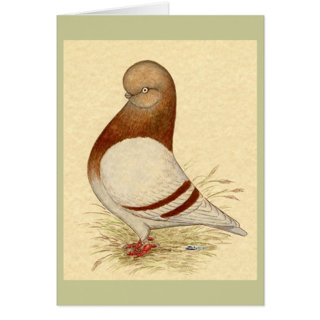 Cartão Pombo do Tumbler: LFCL Mealy (Frente)