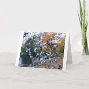 Cartão Pombos, Lloyd Park, Walthamstow, Londres