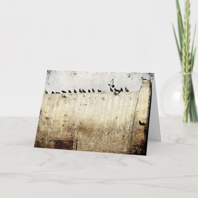 Cartão Pombos num Teto, Aniversário (Frente)