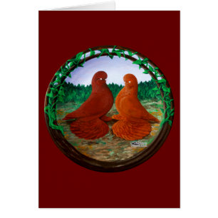 Cartão Pombos-Tumbler Mufados2