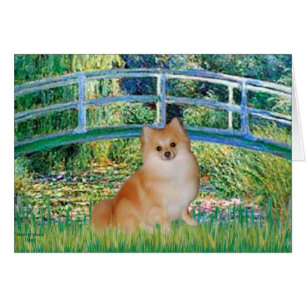 Cartão Pomerânia 3 - Ponte