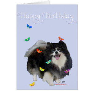 Cartão Pomerânia com Borboletas