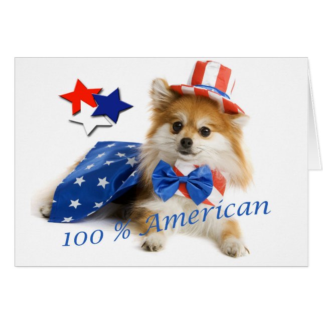 Cartão Pomeranian americano de 100 por cento (Frente Horizontal)