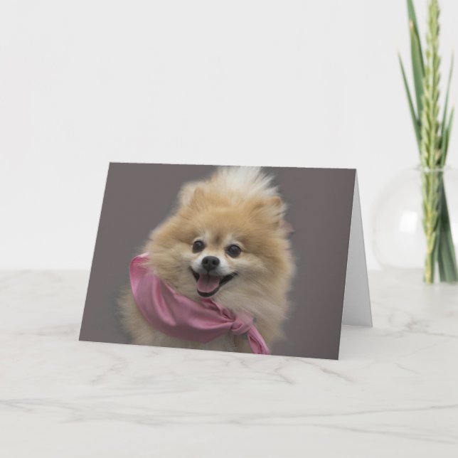 Cartão Pomeranian Dog Birthday Card by Focus for a Cause (Frente)