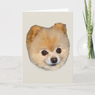 Cartão Pomeranian Dog Note or Greeting Card