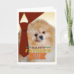 Cartão Pomeranian Father's Day Card