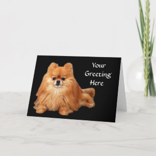 Cartão Pomeranian Greeting Card