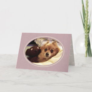 Cartão Pomeraniana Get Good Card