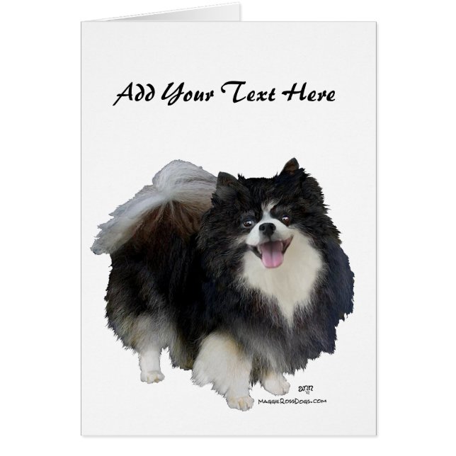 Cartão Pomerano Preto (Frente)