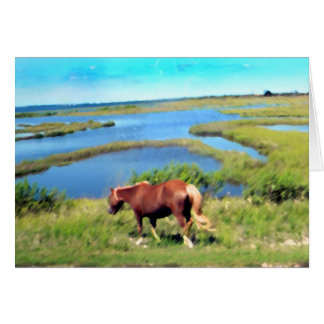 Cartão Pônei de Assateague