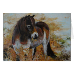 Cartão Pônei de Exmoor
