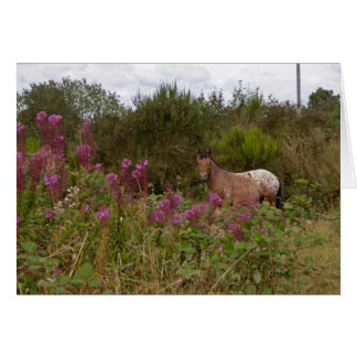 Cartão pônei de mancha