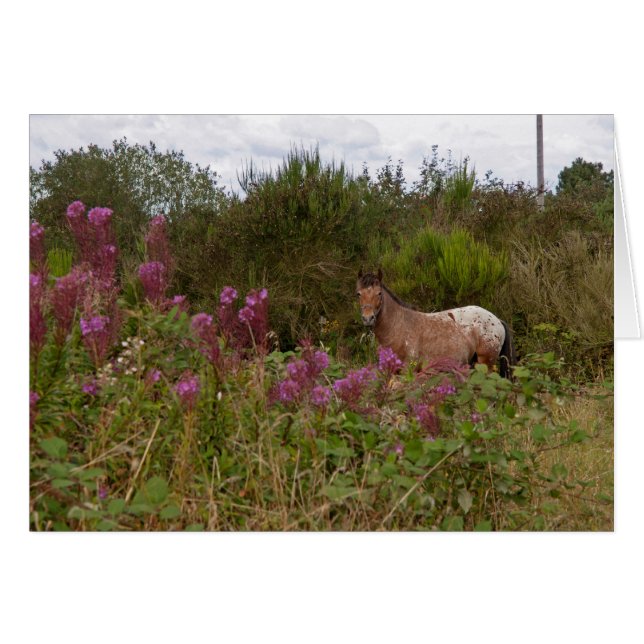 Cartão pônei de mancha (Frente Horizontal)