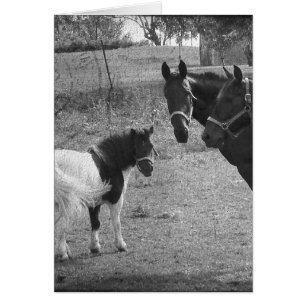Cartão Pônei e cavalos do Pinto