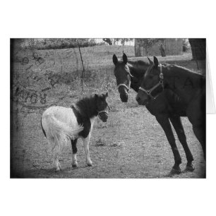 Cartão Pônei e cavalos do Pinto