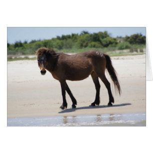 Cartão Pônei responsável