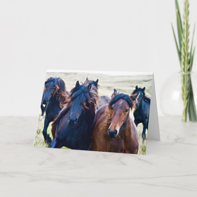 Cartão Pôneis Cumbrianos (Frente)