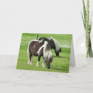 Cartão Pôneis pintados Shetland de raça pura