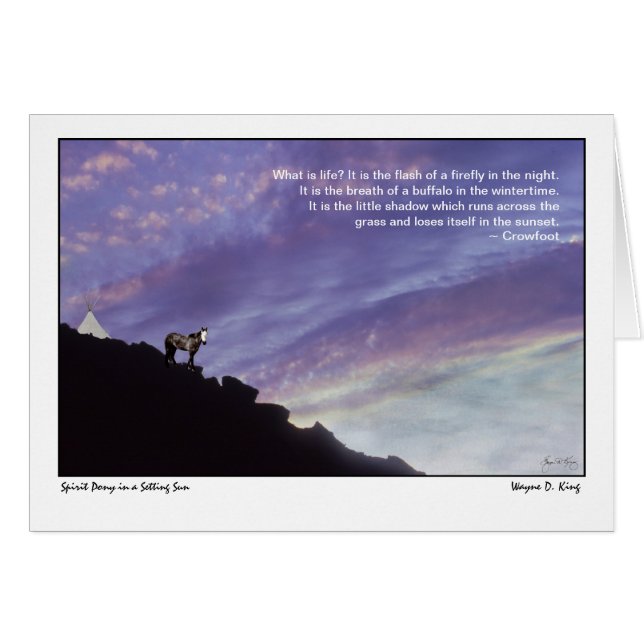 Cartão Pôneo Espírito num Sol de Definição (Frente Horizontal)