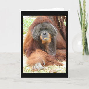 Cartão Pongo Orangutan Ape Greeting Card
