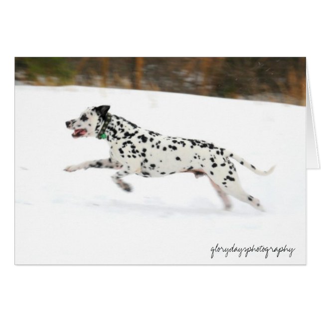 Cartão Ponta (Frente Horizontal)