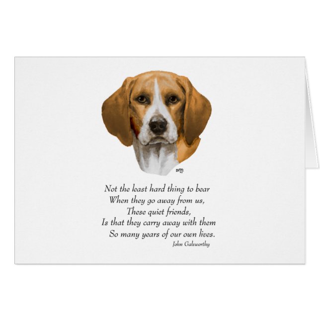 Cartão Ponte Beagle Rainbow (Frente Horizontal)