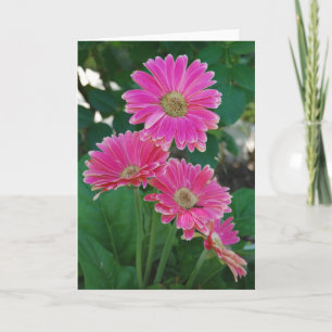 Cartão Ponte das Flores - Disies Notecard