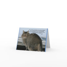 Ponte do Arco-Íris - simpatia do Poema de Gatos