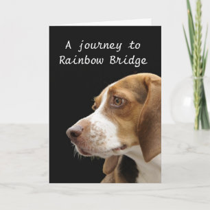 Cartão Ponte do Arco-Íris - simpatia pelo cão
