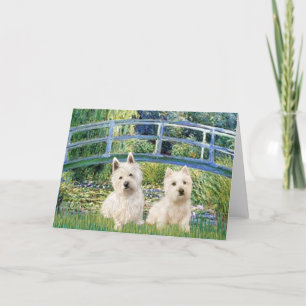Cartão Ponte do Lago de Lírios - Westies (dois)