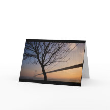 Ponte Humber nº 4 [Cartão Saudável]