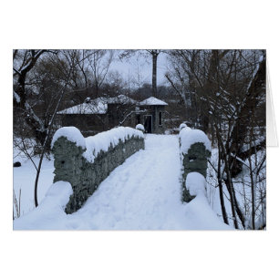 Cartão Ponte nevado