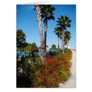 Cartão Ponte Sarasota Ringling