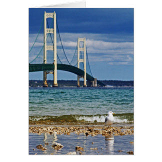 Cartão Ponte Seagull e Mackinac