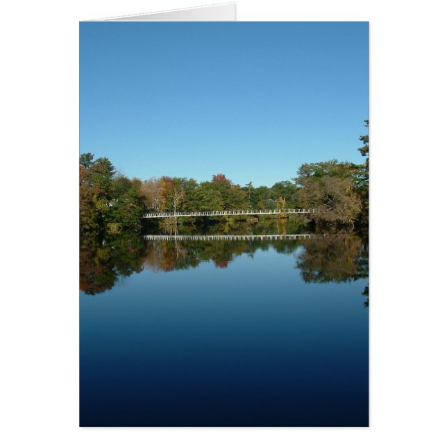 Cartão Ponte Swing (Frente)