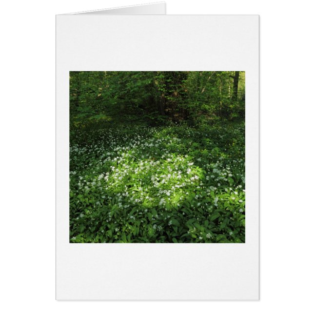 Cartão Ponto de Alho (Frente)