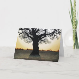 Cartão Ponto de viragem: Solstício de inverno