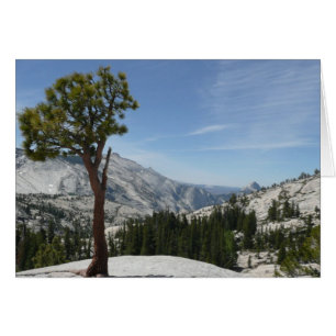 Cartão Ponto Olmsted I no Parque Nacional de Yosemite